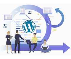 Your Go-To WordPress Web Development Company