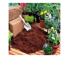 Find the ideal nutrient-rich medium of Coco coir for horticulture from CSMG COCO