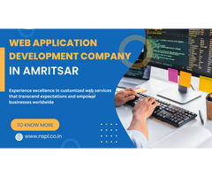 Web Application Development Company in Amritsar