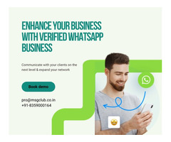 Why is Green Tick Verification Required For WhatsApp Business Account?