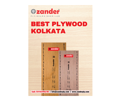 Best Plywood Kolkata- Zander