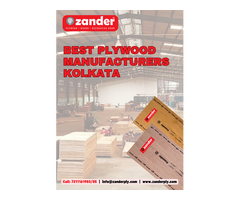 Best Plywood Manufacturers Kolkata - Zander