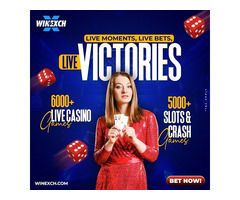 Play Online Casino Games at Winexch