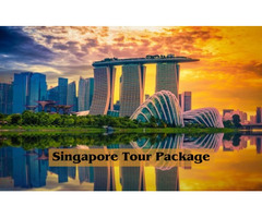 Book Singapore Tour Package With Travel Case