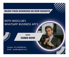 WhatsApp Business API By Msgclub: Business Solution Providers