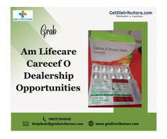 Grab Am Lifecare Carecef O Dealership Opportunities