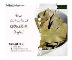 Become Distributor of Rootoright Bayleaf