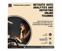 Upgrade your knowledge with Netsuite Suite Analytics and reporting online Training by Proexcellency
