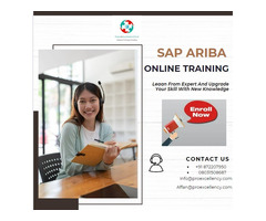 Sap Ariba Online Training With Proexcellency