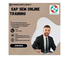 best provides SAP SEM online training with real time trainer