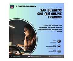Upgrade your knowledge with SAP B1 online Training by Proexcellency