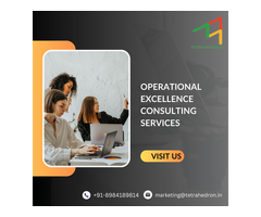 What is the objective of operational excellence?