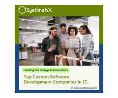 Top Custom Software Development Companies in IT