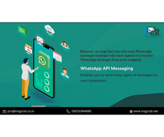 Is WhatsApp Green Tick Verification Free: What Is Green Tick Verification On WhatsApp Pricing In Ind