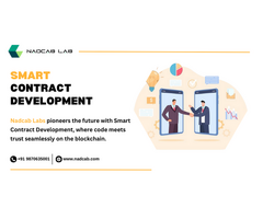 Exploring the Utilization of Smart Contract Development