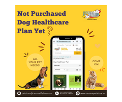 Dog Healthcare Plan