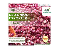 Find Top Red Onion Exporter in India