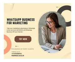 WhatsApp Marketing & Automation Strategies