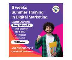 A Comprehensive Guide to the Digital Marketing Institute in Noida