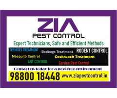 Cockroach OR Bedbug Treatment service price just Rs. 999 only | 1831
