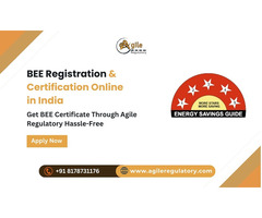 BEE Registration Services – Boost Product Credibility!