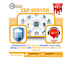 Hosting Home ERP Servers – The Best Choice for Business Growth