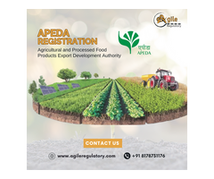 Get Your APEDA Registration – Start Exporting Agro Products Today!