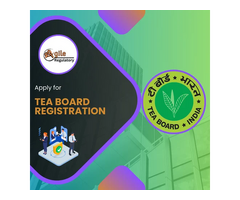 Tea Export? Get Tea Board Registration Easily