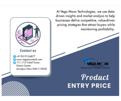 How to Strategically Set Your Product Entry Price in a Highly Competitive Market