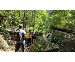 Must-See Places in Coorg: Tourist Hotspots Unveiled