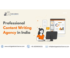 Best Content Writing Services in India –Wish Geeks Techserve
