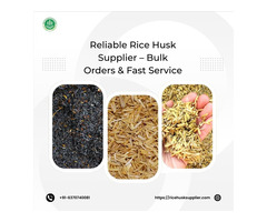 Reliable Rice Husk Supplier – Bulk Orders & Fast Service