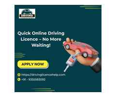 Quick Online Driving Licence – No More Waiting