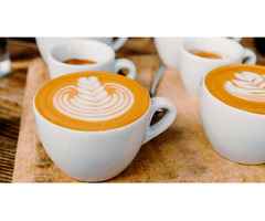 Udaipur cafes to visit