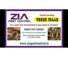 Rodent pest control near me | Bangalore pest control services | 7080