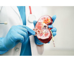 Need a Good Urologist? Here’s a Trusted Clinic in Greater Noida