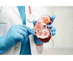 Need a Good Urologist? Here’s a Trusted Clinic in Greater Noida