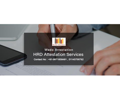 UAE Embassy Attestation Mistakes: How to Avoid Rejection