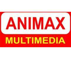 web development course coimbatore - Animax Multimedia