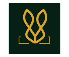 Buy Trendy Vegan Leather Footwear from Bold Bunny – Stylish, Ethical & Durable