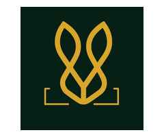 Buy Trendy Vegan Leather Footwear from Bold Bunny – Stylish, Ethical & Durable