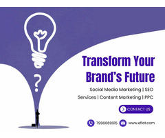 Top Digital Marketing Agency in Nagpur – Boost Your Brand Today!