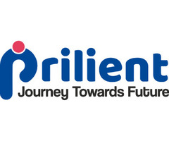 Need a Website Development Company in Jaipur Today?