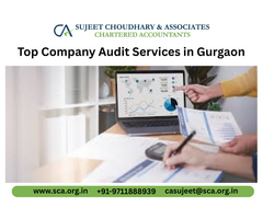 Top Company Audit Services in Gurgaon