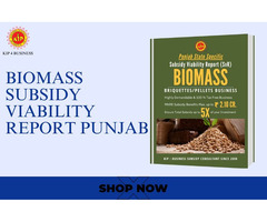 Financial Feasibility of Punjab Biomass Briquettes Ventures