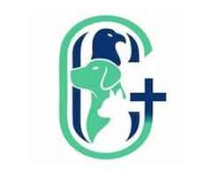 How to Ensure Optimal Health for Your Pets by Choosing the Right Vet