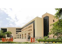 Enroll in BA English Honours at SGT University – Build Your Future in Literature