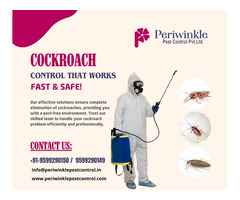Affordable Pest Control Services in Greater Noida & Delhi NCR