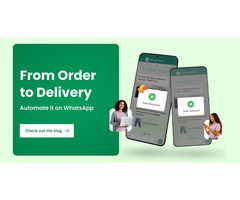 Which One is Right WhatsApp Business vs WhatsApp Business API: