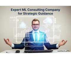 Expert ML Consulting Company for Strategic Guidance